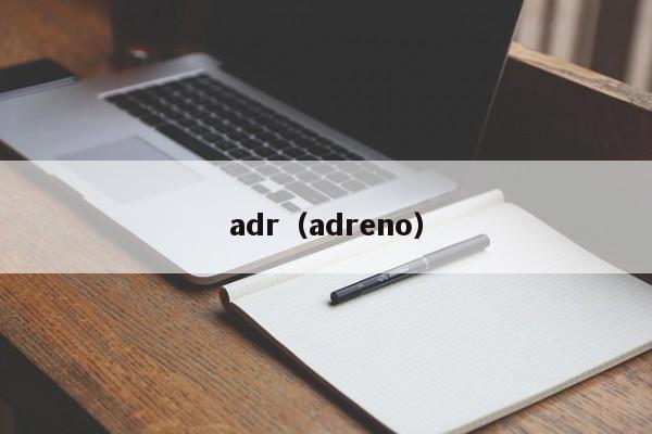 adr（adreno）-第1张图片-昕阳网