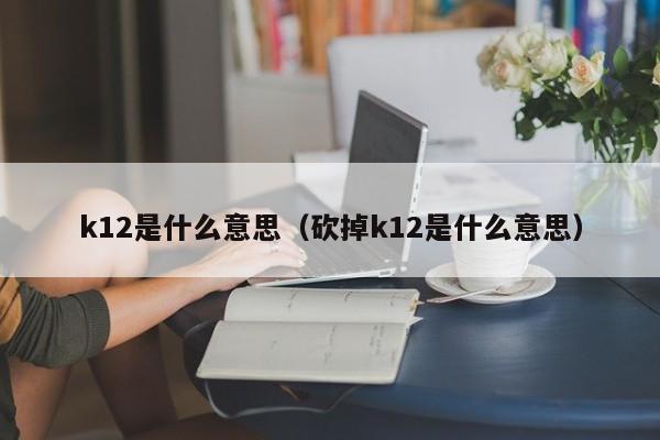 k12是什么意思（砍掉k12是什么意思）-第1张图片-昕阳网