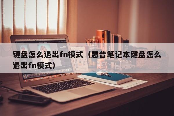 键盘怎么退出fn模式（惠普笔记本键盘怎么退出fn模式）-第1张图片-昕阳网