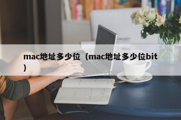 mac地址多少位（mac地址多少位bit）-第1张图片-昕阳网