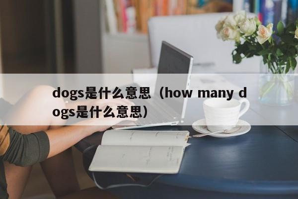 dogs是什么意思（how many dogs是什么意思）-第1张图片-昕阳网