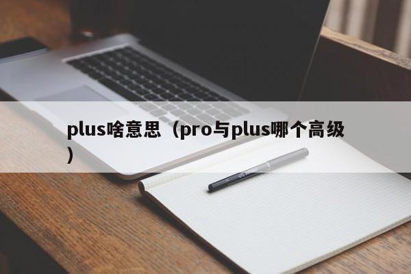 plus啥意思（pro与plus哪个高级）-第1张图片-昕阳网