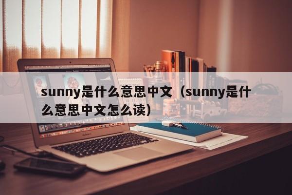 sunny是什么意思中文（sunny是什么意思中文怎么读）-第1张图片-昕阳网