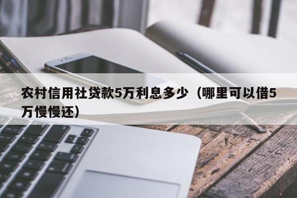 农村信用社贷款5万利息多少（哪里可以借5万慢慢还）-第1张图片-昕阳网