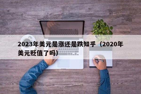 2023年美元是涨还是跌知乎（2020年美元贬值了吗）-第1张图片-昕阳网