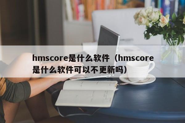 hmscore是什么软件（hmscore是什么软件可以不更新吗）-第1张图片-昕阳网