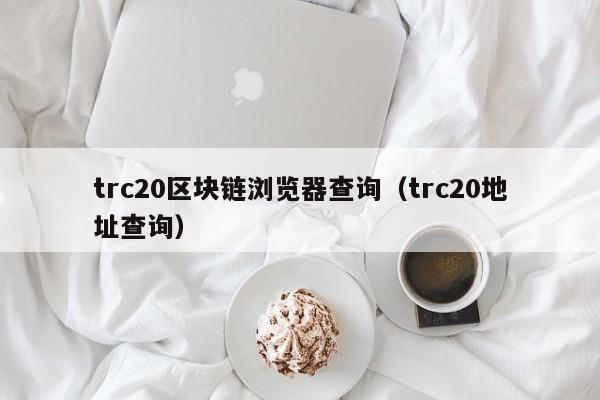 trc20区块链浏览器查询（trc20地址查询）-第1张图片-昕阳网