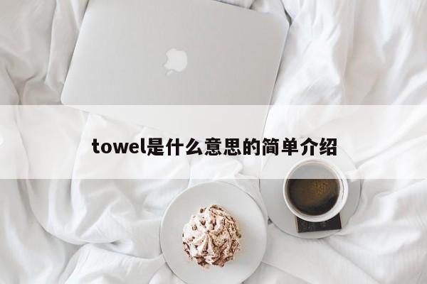 towel是什么意思的简单介绍-第1张图片-昕阳网