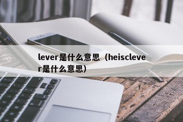 lever是什么意思（heisclever是什么意思）-第1张图片-昕阳网