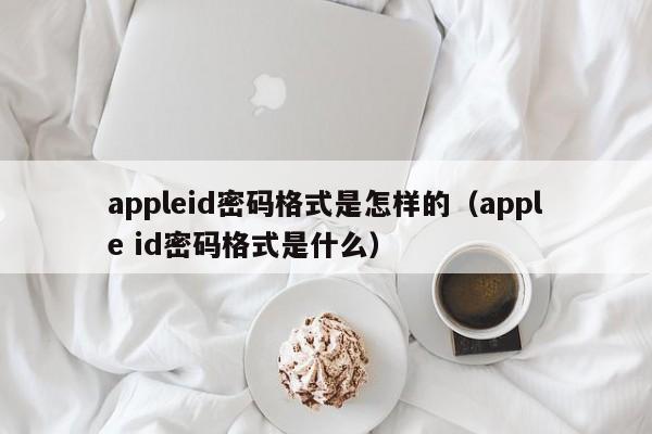 appleid密码格式是怎样的（apple id密码格式是什么）-第1张图片-昕阳网