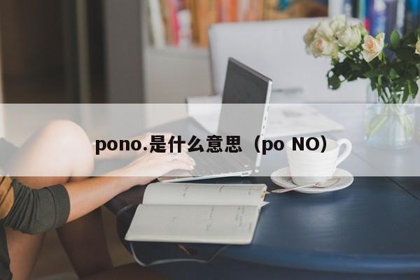 pono.是什么意思（po NO）-第1张图片-昕阳网