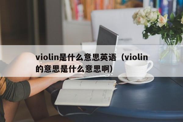 violin是什么意思英语（violin的意思是什么意思啊）-第1张图片-昕阳网