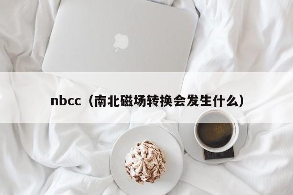 nbcc（南北磁场转换会发生什么）-第1张图片-昕阳网