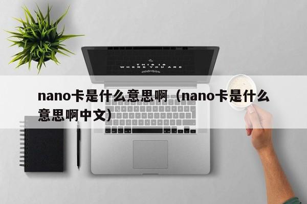 nano卡是什么意思啊（nano卡是什么意思啊中文）-第1张图片-昕阳网