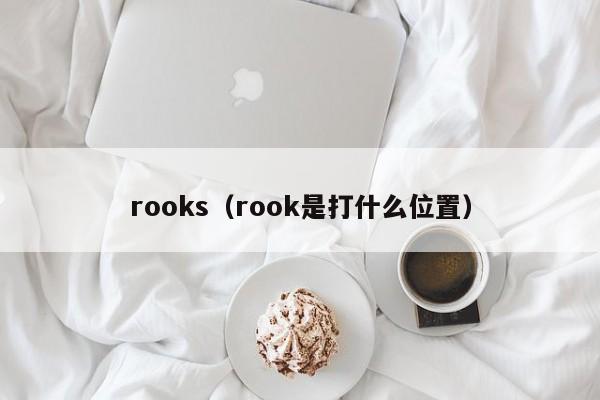 rooks（rook是打什么位置）-第1张图片-昕阳网