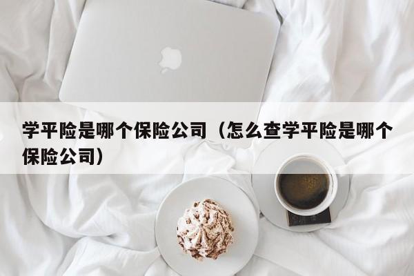 学平险是哪个保险公司（怎么查学平险是哪个保险公司）-第1张图片-昕阳网