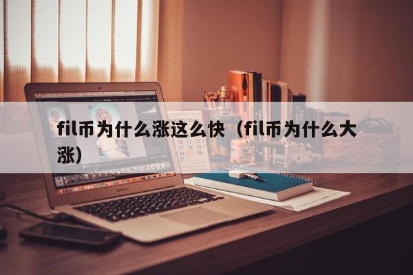 fil币为什么涨这么快（fil币为什么大涨）-第1张图片-昕阳网