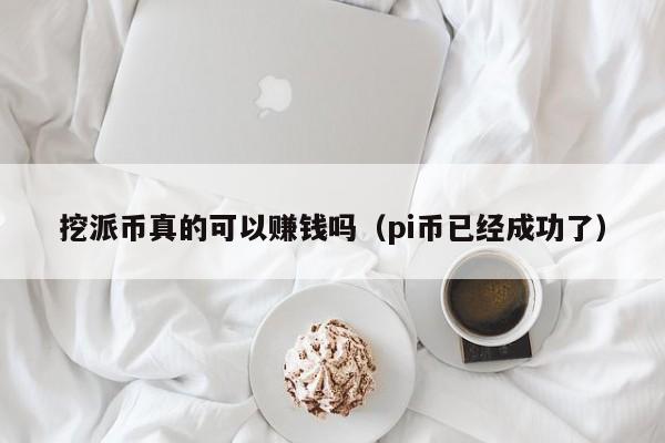 挖派币真的可以赚钱吗（pi币已经成功了）-第1张图片-昕阳网