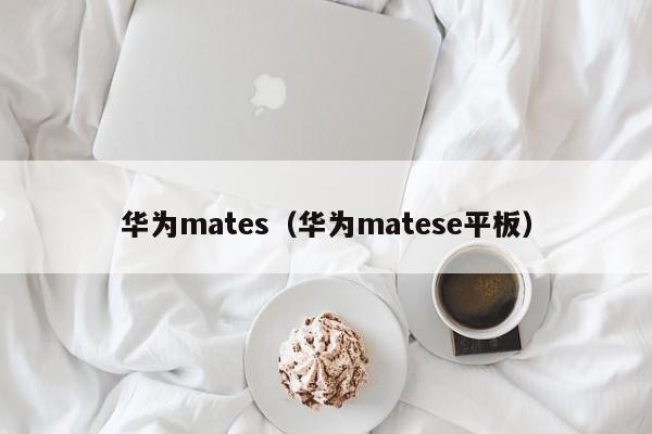 华为mates（华为matese平板）-第1张图片-昕阳网