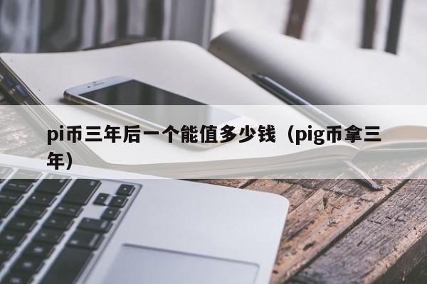 pi币三年后一个能值多少钱（pig币拿三年）-第1张图片-昕阳网