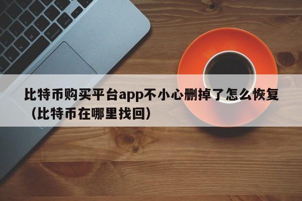 比特币购买平台app不小心删掉了怎么恢复（比特币在哪里找回）-第1张图片-昕阳网