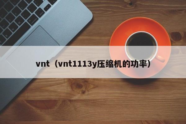 vnt（vnt1113y压缩机的功率）-第1张图片-昕阳网