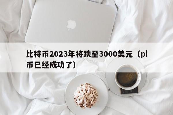 比特币2023年将跌至3000美元（pi币已经成功了）-第1张图片-昕阳网