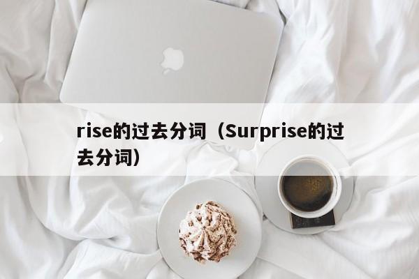 rise的过去分词（Surprise的过去分词）-第1张图片-昕阳网