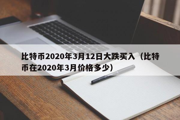 比特币2020年3月12日大跌买入（比特币在2020年3月价格多少）-第1张图片-昕阳网