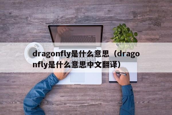 dragonfly是什么意思（dragonfly是什么意思中文翻译）-第1张图片-昕阳网