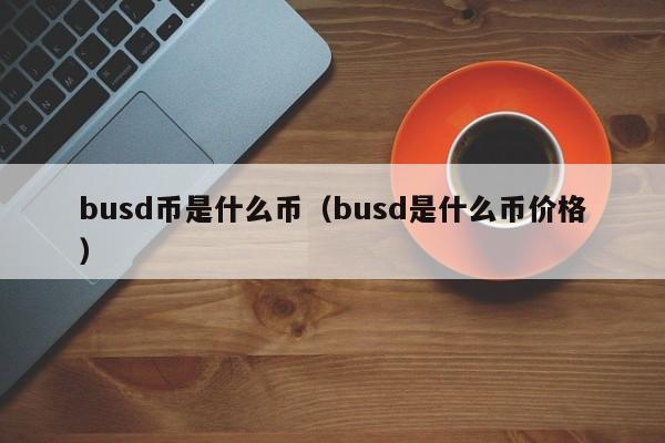 busd币是什么币（busd是什么币价格）-第1张图片-昕阳网