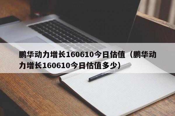 鹏华动力增长160610今日估值（鹏华动力增长160610今日估值多少）-第1张图片-昕阳网