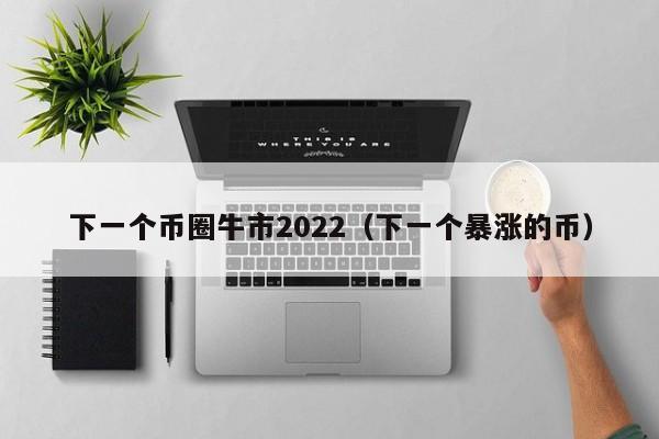 下一个币圈牛市2022（下一个暴涨的币）-第1张图片-昕阳网