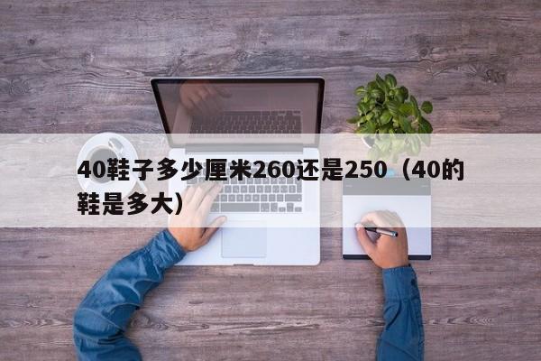 40鞋子多少厘米260还是250（40的鞋是多大）-第1张图片-昕阳网