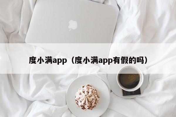 度小满app（度小满app有假的吗）-第1张图片-昕阳网