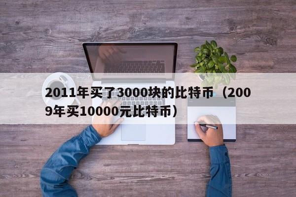 2011年买了3000块的比特币（2009年买10000元比特币）-第1张图片-昕阳网