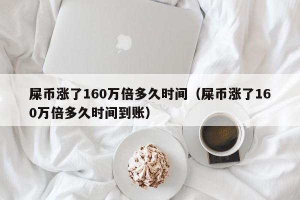 屎币涨了160万倍多久时间（屎币涨了160万倍多久时间到账）-第1张图片-昕阳网