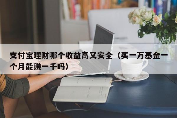 支付宝理财哪个收益高又安全（买一万基金一个月能赚一千吗）-第1张图片-昕阳网