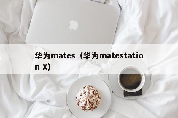 华为mates（华为matestation X）-第1张图片-昕阳网