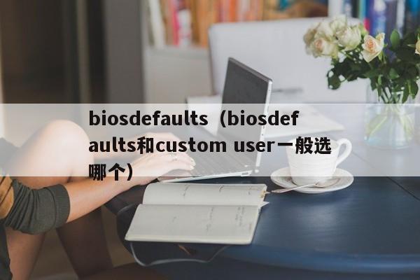 biosdefaults（biosdefaults和custom user一般选哪个）-第1张图片-昕阳网