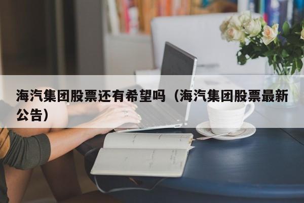 海汽集团股票还有希望吗（海汽集团股票最新公告）-第1张图片-昕阳网