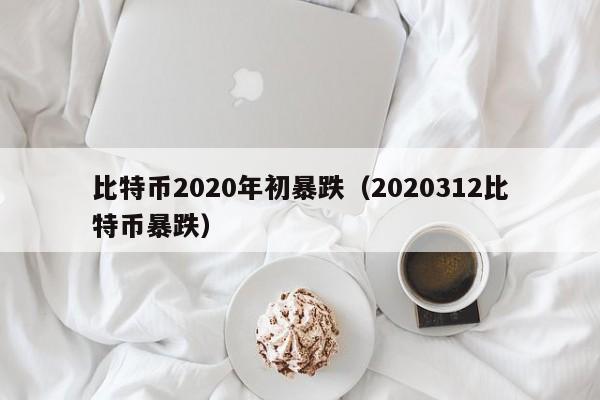 比特币2020年初暴跌（2020312比特币暴跌）-第1张图片-昕阳网