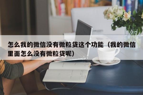 怎么我的微信没有微粒贷这个功能（我的微信里面怎么没有微粒贷呢）-第1张图片-昕阳网