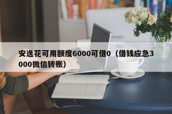 安逸花可用额度6000可借0（借钱应急3000微信转账）-第1张图片-昕阳网