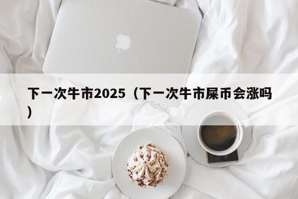 下一次牛市2025（下一次牛市屎币会涨吗）-第1张图片-昕阳网