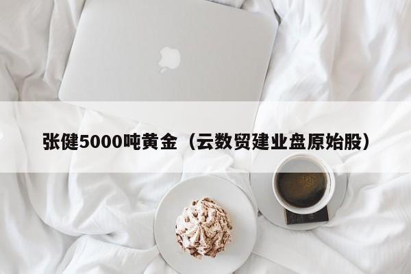 张健5000吨黄金（云数贸建业盘原始股）-第1张图片-昕阳网