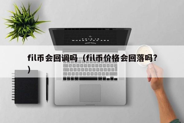 fil币会回调吗（fil币价格会回落吗?）-第1张图片-昕阳网