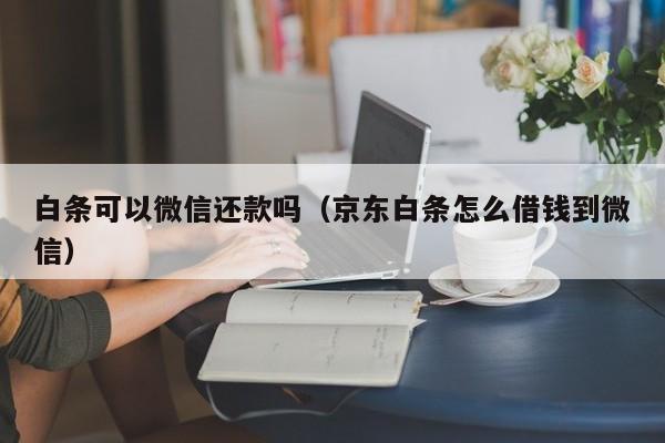 白条可以微信还款吗（京东白条怎么借钱到微信）-第1张图片-昕阳网