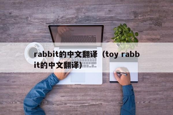 rabbit的中文翻译（toy rabbit的中文翻译）-第1张图片-昕阳网