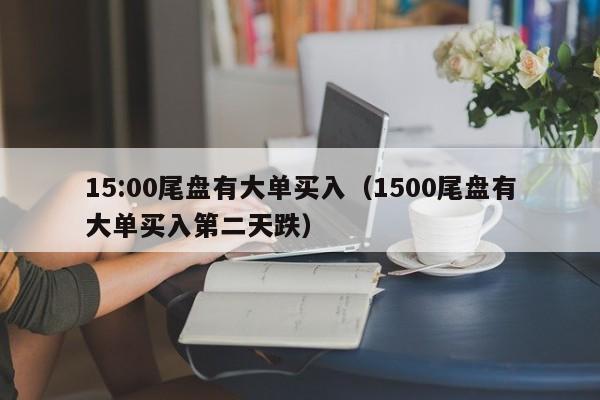 15:00尾盘有大单买入（1500尾盘有大单买入第二天跌）-第1张图片-昕阳网